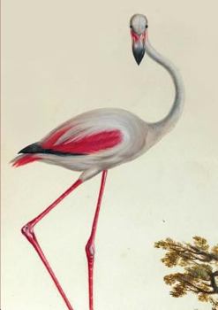 Carnet Ligna(c), Flamant Rose