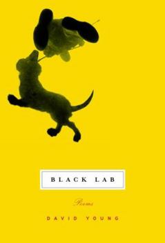 Hardcover Black Lab Book