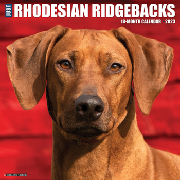 Calendar Just Rhodesian Ridgebacks 2023 Wall Calendar Book