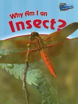 Why Am I an Insect? - Book  of the Classifying Animals
