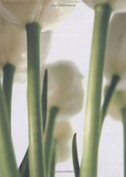 Hardcover Becoming, Being, Passing Book