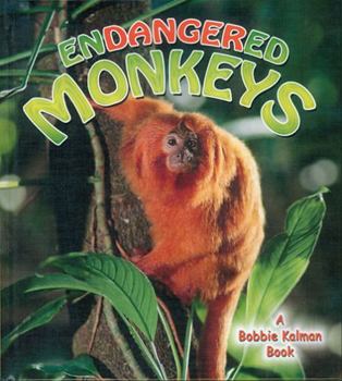 Paperback Endangered Monkeys Book