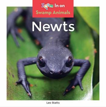 Newts - Book  of the Swamp Animals