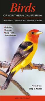 Pamphlet Birds of Southern California: A Guide to Common & Notable Species Book