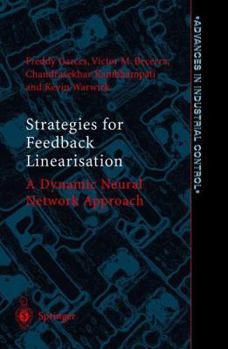 Paperback Strategies for Feedback Linearisation: A Dynamic Neural Network Approach Book
