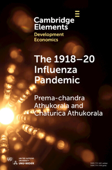 Paperback The 1918-20 Influenza Pandemic: A Retrospective in the Time of Covid-19 Book