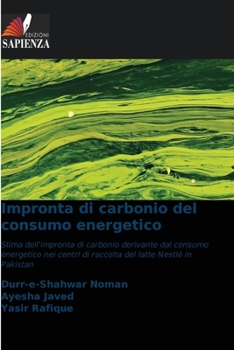Impronta di carbonio del consumo energetico (Italian Edition)