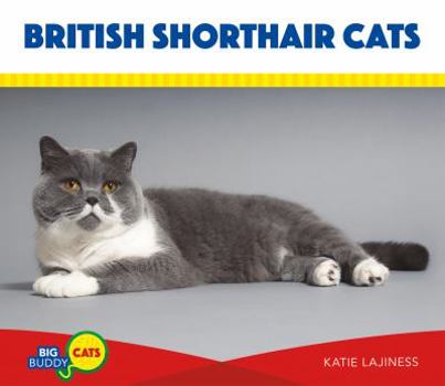 Library Binding British Shorthair Cats Book