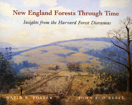 Paperback New England Forests Through Time: Insights from the Harvard Forest Dioramas Book