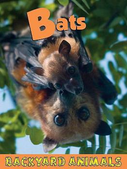 Bats - Book  of the Backyard Animals