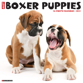 Calendar Just Boxer Puppies 2022 Wall Calendar (Dog Breed) Book