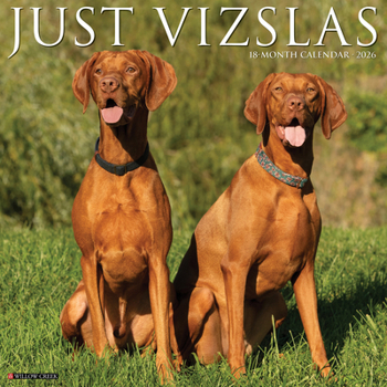 Calendar Vizslas 2026 12 X 12 Wall Calendar Book