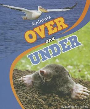 Library Binding Animals Over and Under Book