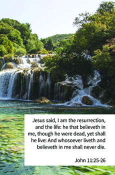 Paperback Liveth and Believeth Bulletin (Pkg 100) Funeral Book