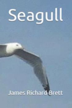 Paperback Seagull Book