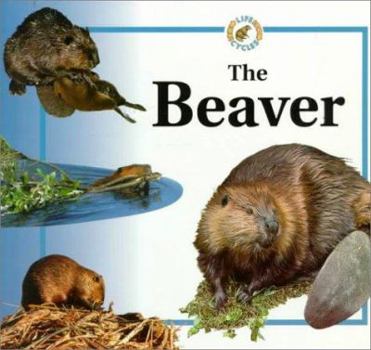 Paperback Beaver Life Cycles Book