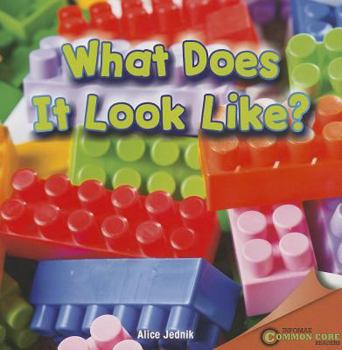 Paperback What Does It Look Like? Book