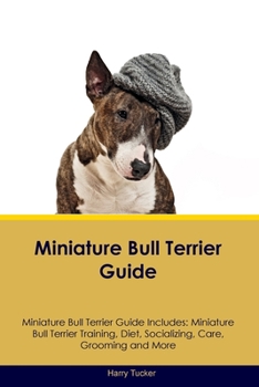 Paperback Miniature Bull Terrier Guide Miniature Bull Terrier Guide Includes: Miniature Bull Terrier Training, Diet, Socializing, Care, Grooming, Breeding and M Book