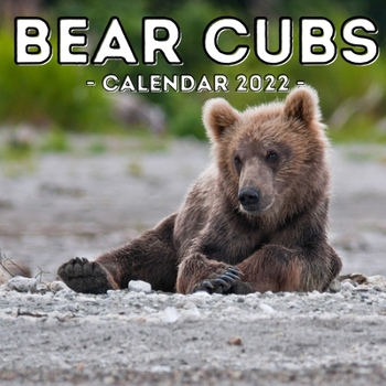 Paperback Bear Cubs Calendar 2022: 16-Month Calendar, Cute Gift Idea For Newborn Bear Lovers Women & Men Book