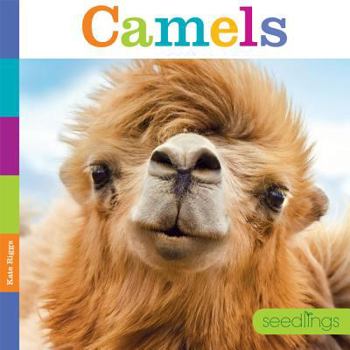 Camels - Book  of the Seedlings