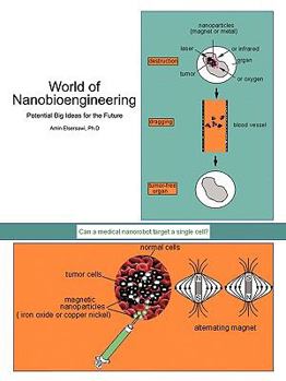 Paperback World of Nanobioengineering: Potential Big Ideas for the Future Book