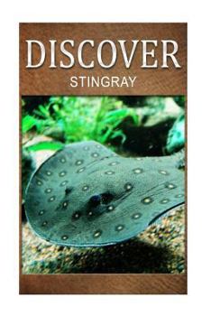Paperback Stingray - Discover: Early reader's wildlife photography book