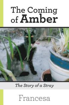 Paperback The Coming of Amber: The Story of a Stray Book