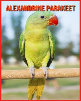 Alexandrine Parakeet: Amazing Photos & Fun Facts Book About Alexandrine Parakeet For Kids