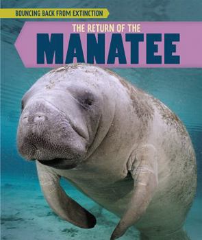 Library Binding The Return of the Manatee Book
