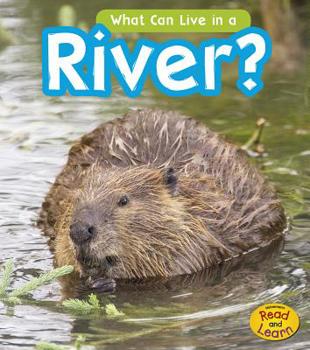 Hardcover What Can Live in the River? Book
