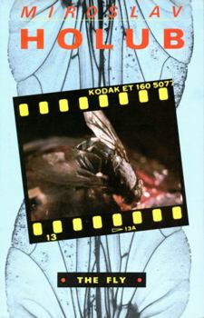 Hardcover The Fly Book