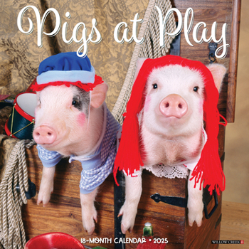 Calendar Pigs at Play 12 X 12 Wall Calendar Book