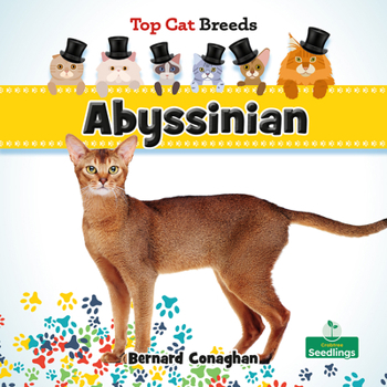 Hardcover Abyssinian Book