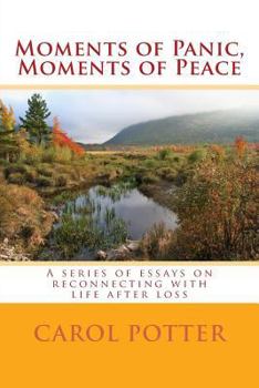 Paperback Moments of Panic, Moments of Peace: A series of essays on reconnecting with life after loss Book