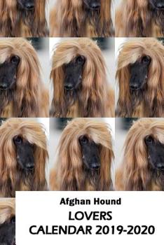 Paperback Afghan Hound Lovers Calendar 2019-2020 Book