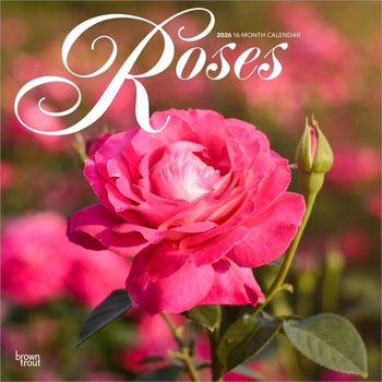 Calendar Roses 2026 12 X 24 Inch (Hanging) Monthly Square Wall Calendar Plastic-Free Book