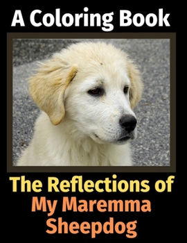 The Reflections of My Maremma Sheepdog: A Coloring Book
