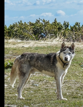 Daily Diary: Blank 2020 Journal Entry Writing Paper for Each Day of the Year | Siberian Husky | January 20 - December 20 | 366 Dated Pages | A ... Your Life, Set Goals & Get Things Done