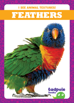 Paperback Feathers Book