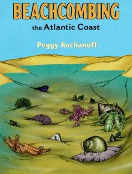 Paperback Beachcombing the Atlantic Coast Book