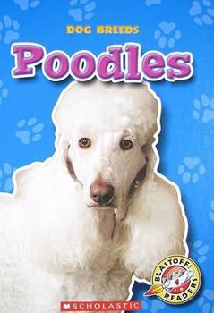 Hardcover Poodles Book