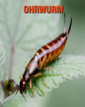 Paperback Ohrwurm: Erstaunliche Fakten & Bilder [German] Book