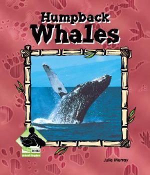 Humpback Whales - Book  of the Buddy Books