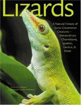 Hardcover Lizards: A Natural History of Some Uncommon Creatures --Extraordinary Chameleons, Iguanas, Geckos, and More Book