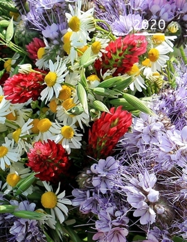 2020 A4 Diary Week To View Planner For All Occasions: Year Planner For Business, Office, Home, University, College, School, Appointments, Organizer.