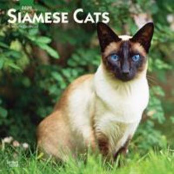 Calendar Siamese Cats 2020 Square Book