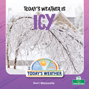 Today's Weather Is Icy