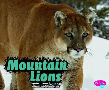 Hardcover Mountain Lions Book