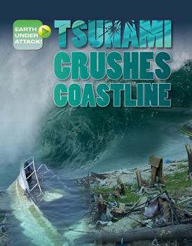 Library Binding Tsunami Crushes Coastline Book
