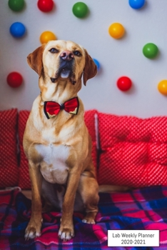 Lab Weekly Planner 2020-2021: Labrador Retriever Lover Notebook Gift, Two Year Weekly Planner With 2 Year Calendar 2020 2021, Size 6 X 9 Inch